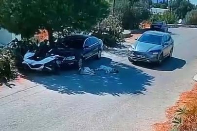 Otomobille iki köpeğin üzerinden geçti, yoluna devam etti