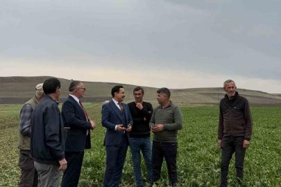 Akyaka Kaymakamı Demirtaş, şeker pancarı hasadına katıldı
