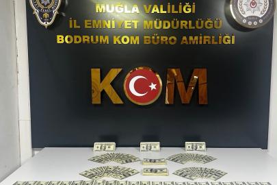 Bodrum'da 46 bin 200 sahte ABD dolarI ele geçirildi, 1 tutuklama