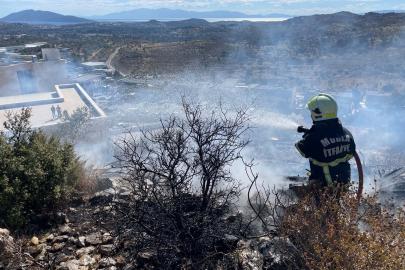 Bodrum'da maki yangını, büyümeden söndürüldü