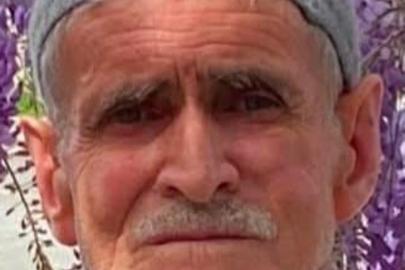 Ceviz ağacından düşüp öldü