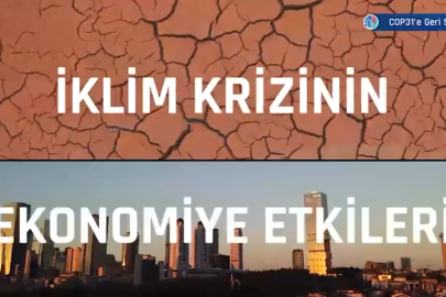 COP31'e Geri Sayım: İklim krizi iş dünyasını nasıl etkileyecek?