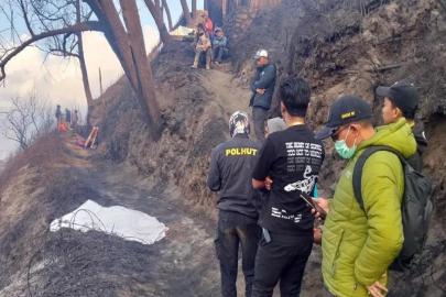 Endonezya'da milli parkta çıkan yangında 4 kişi öldü, 2 kişi ağır yaralandı