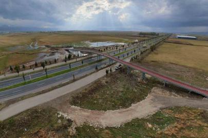 Erzurum’da hayvanların güvenli geçişi için yapılan ekolojik köprü tamamlandı