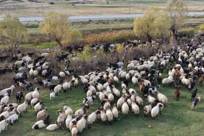Göçerlerin Van’dan Siirt’e zorlu dönüş yolculuğu başladı