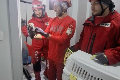 Havalandırma boşluğunda mahsur kalan baykuşu, AKUT kurtardı