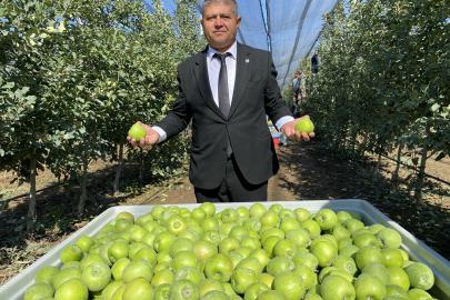 Isparta'da elma hasadı başladı; rekolte beklentisi 1 milyon 250 bin ton
