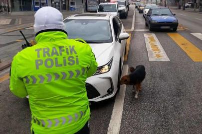 İstanbul'da "huzur" uygulaması: 493 kişi gözaltına alındı