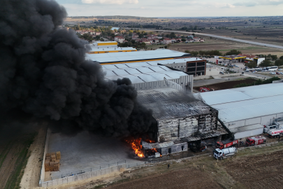 Kırklareli'nde ilaç fabrikasında yangın
