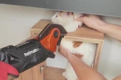 Malatya’da posta kutusuna sıkışan kedi kurtarıldı