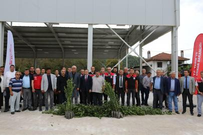 Muğla’da defne üretiminden 35 milyon lira gelir