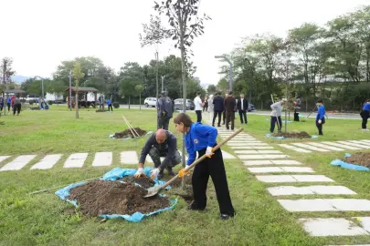 Ordu'da öğrenciler Melet’te ağaçları toprakla buluşturdu