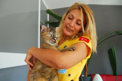 Orman yangınında vücudunun yüzde 40'ı yanan kedi 'Luna', yaşam savaşını kazandı