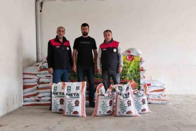 Palu’da üreticilere yüzde 70 hibeli kırmızı mercimek tohumu dağıtıldı