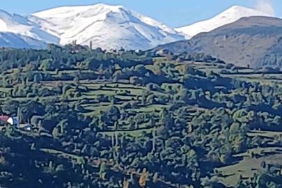 Posof’ta erken kar sürprizi: Doğada "Üç renk" bir arada