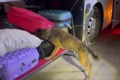 Şanlıurfa'da yolcu otobüsünde 16 kilogram skunk ele geçirildi