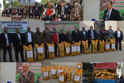 Siirt’te üreticilere 176 ton sertifikalı kırmızı mercimek tohumu dağıtılıyor