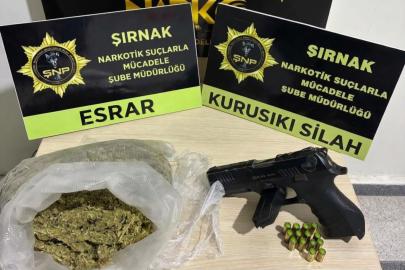 Şırnak'taki asayiş ve narkotik operasyonlarında 187 gözaltı