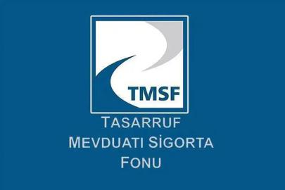 TMSF, Tera Yatırım Teknoloji Holding'e kayyum olarak atandı