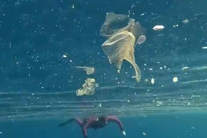 Yağışlar sonrası denizdeki plastik kirliliği kamerada